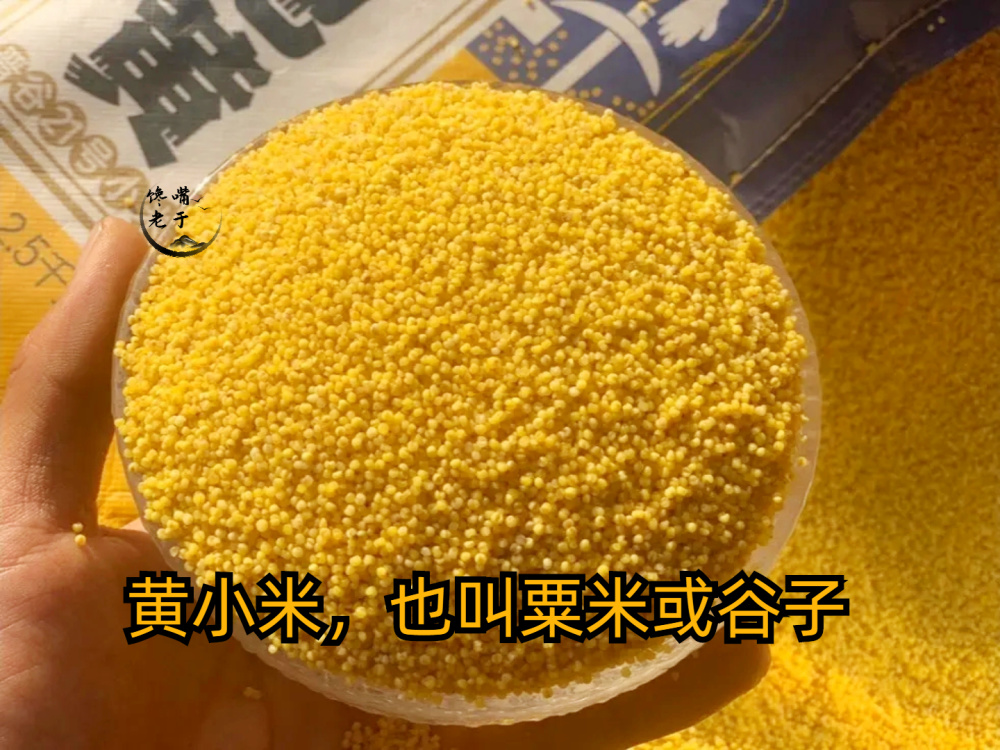 糯小米,又称黍,稷,在东北也被叫作大黄米,它和黄小米在外观上最大的