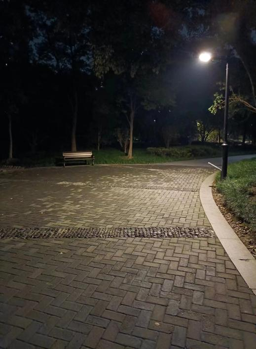 黑漆漆变亮堂堂 杭州62条道路完成增灯补亮