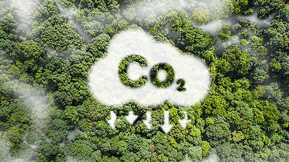 全球碳循环认知或被颠覆！土壤中锁定的古老碳正通过河流释放？_腾讯新闻