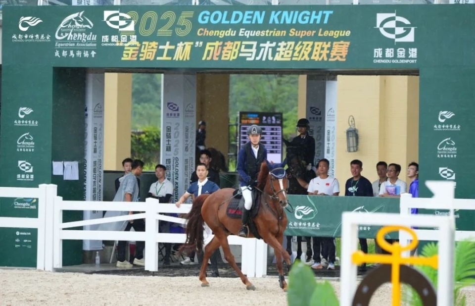 温江马术赛场“焕新”首战！“金骑士杯”联赛点燃夏日激情