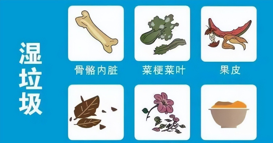 全世界都嫌难烧的湿垃圾，被中国企业玩明白了，还靠它年赚几十亿_腾讯新闻