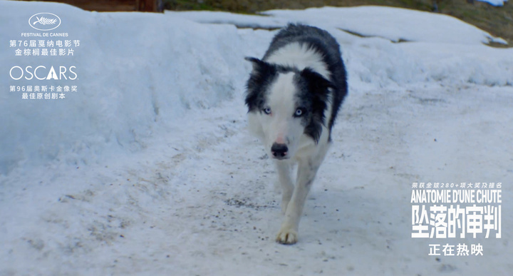 金棕榈电影《坠落的审判》上映,桑德拉·惠勒每个微表情都是戏_腾讯