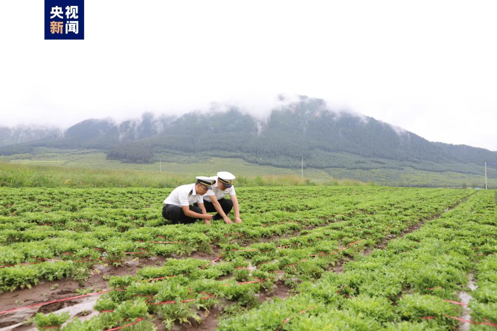 青海西宁海关通过建立关企联络员机制,从基地备案到通关全流程跟进