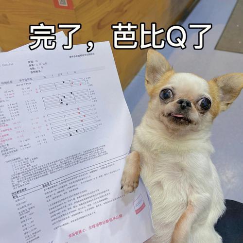641