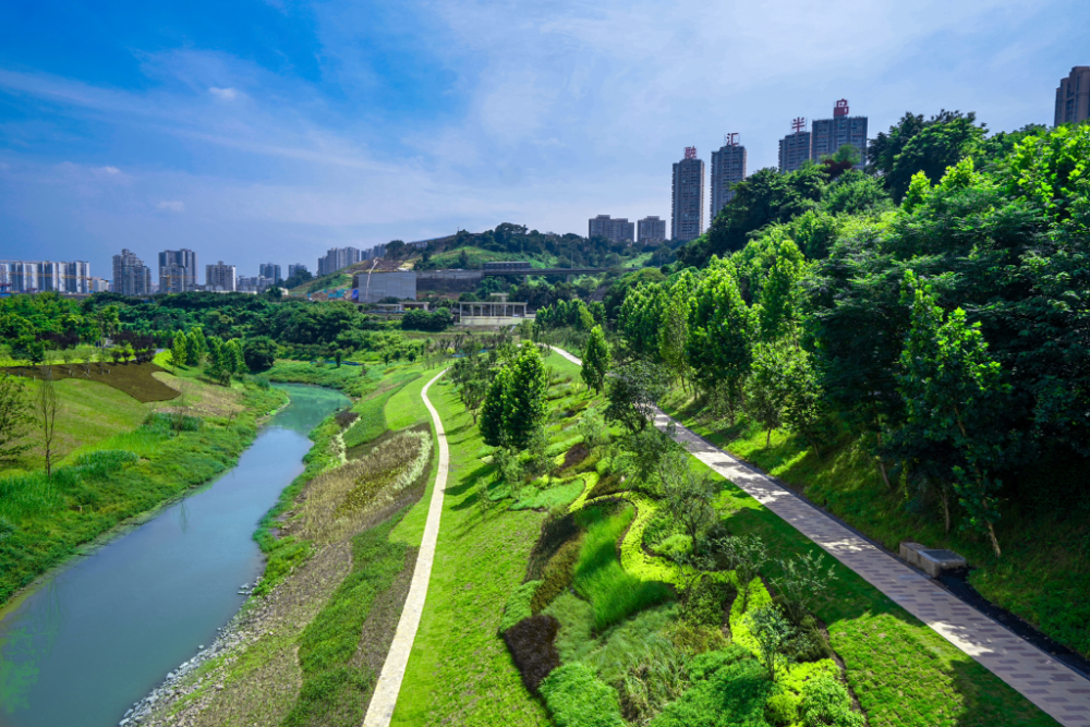城市功能品质再加码重庆市城市河流清水绿岸建设指南正式发布