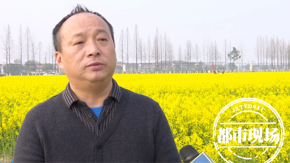 有美景更有幸福鹰潭余江千亩油菜花盛开靓眼又增收