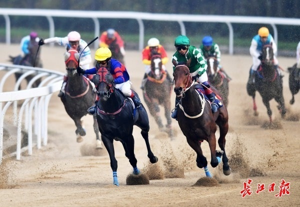 下周日,188匹国内顶级赛马在汉争夺300万元奖金