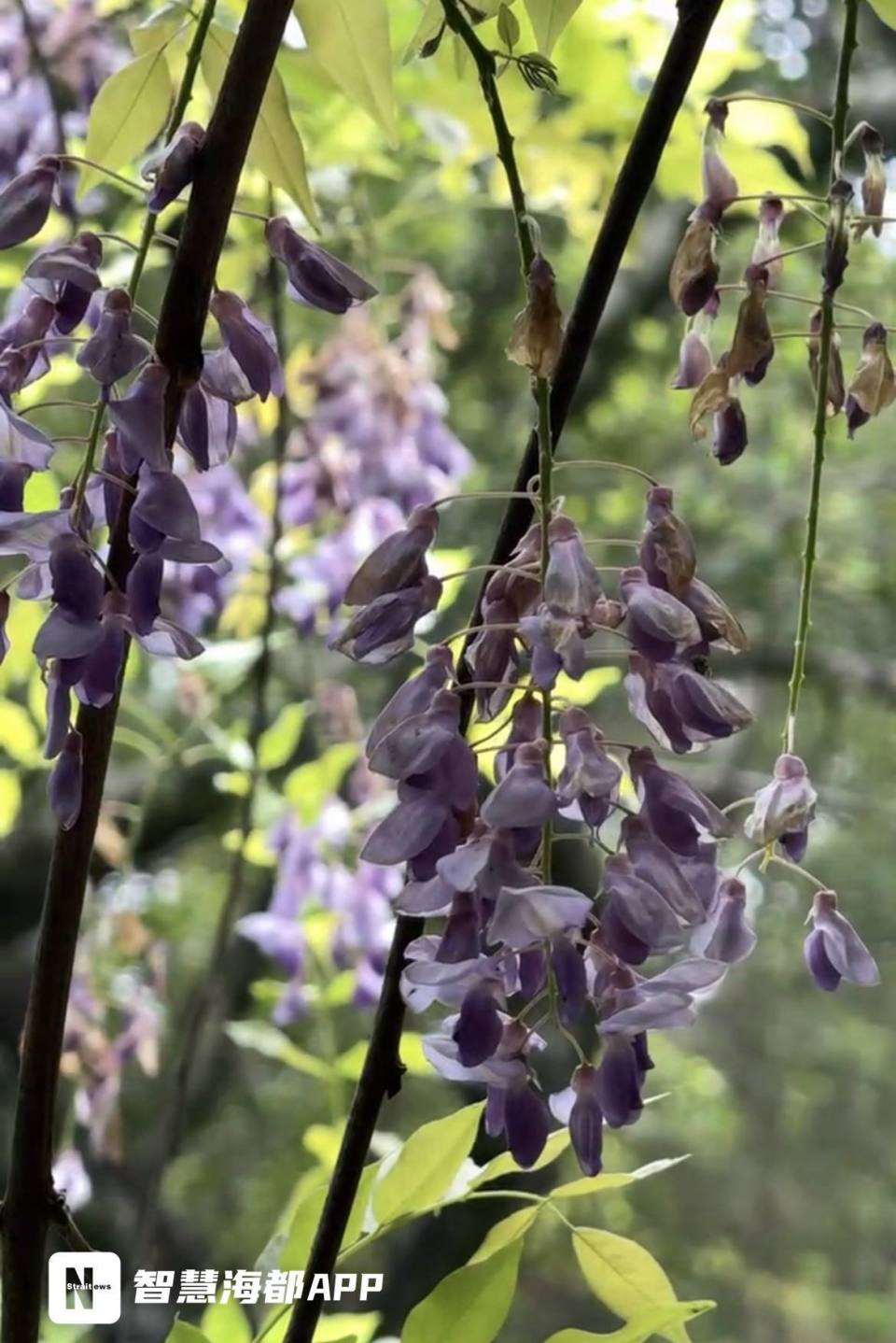 960_1438竖版 竖屏