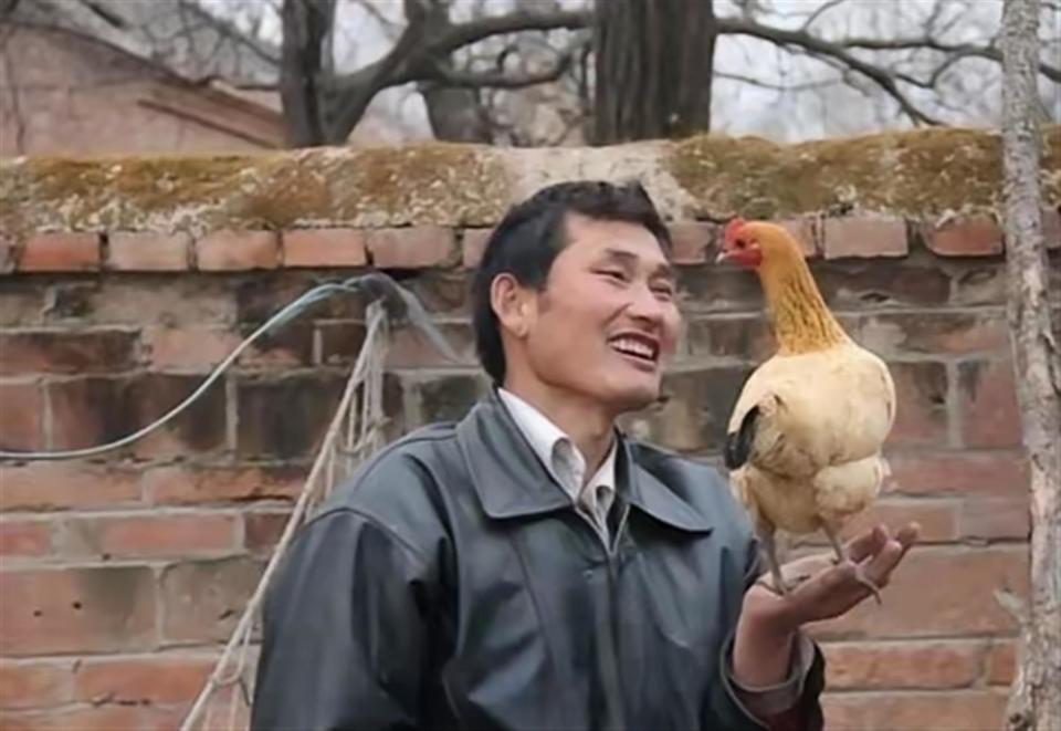 赵本山二十年前的公鸡下蛋让大衣哥朱之文的瘸腿鸭完美诠释了_腾讯新闻