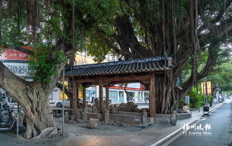 30年来首次大修完成双抛桥重现古韵