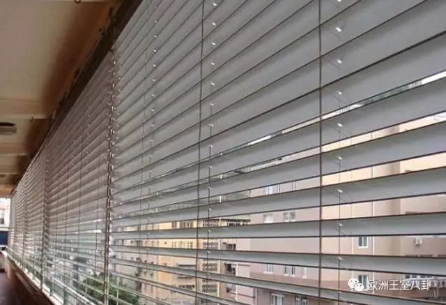 成了精的百叶窗!