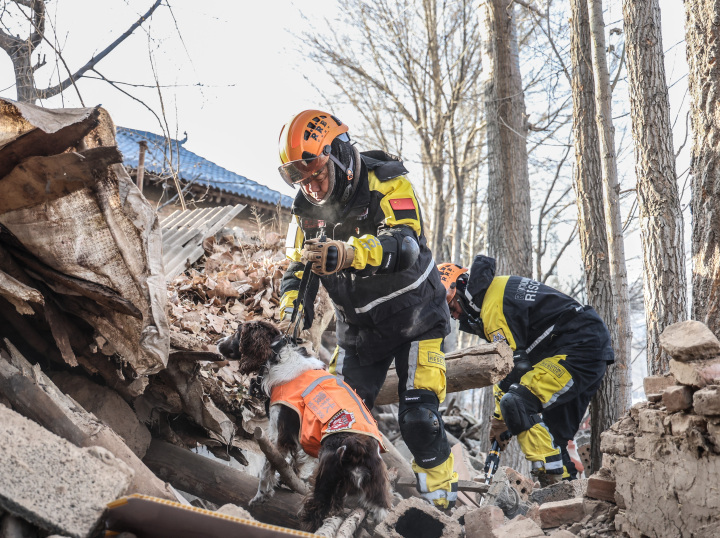 守望相助——积石山县地震灾区救援与安置工作_腾讯新闻
