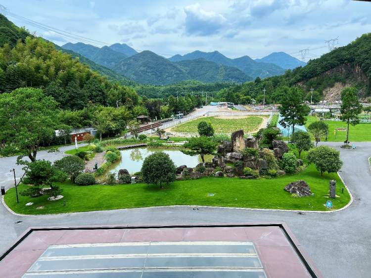 "芳草地"的感受和领悟