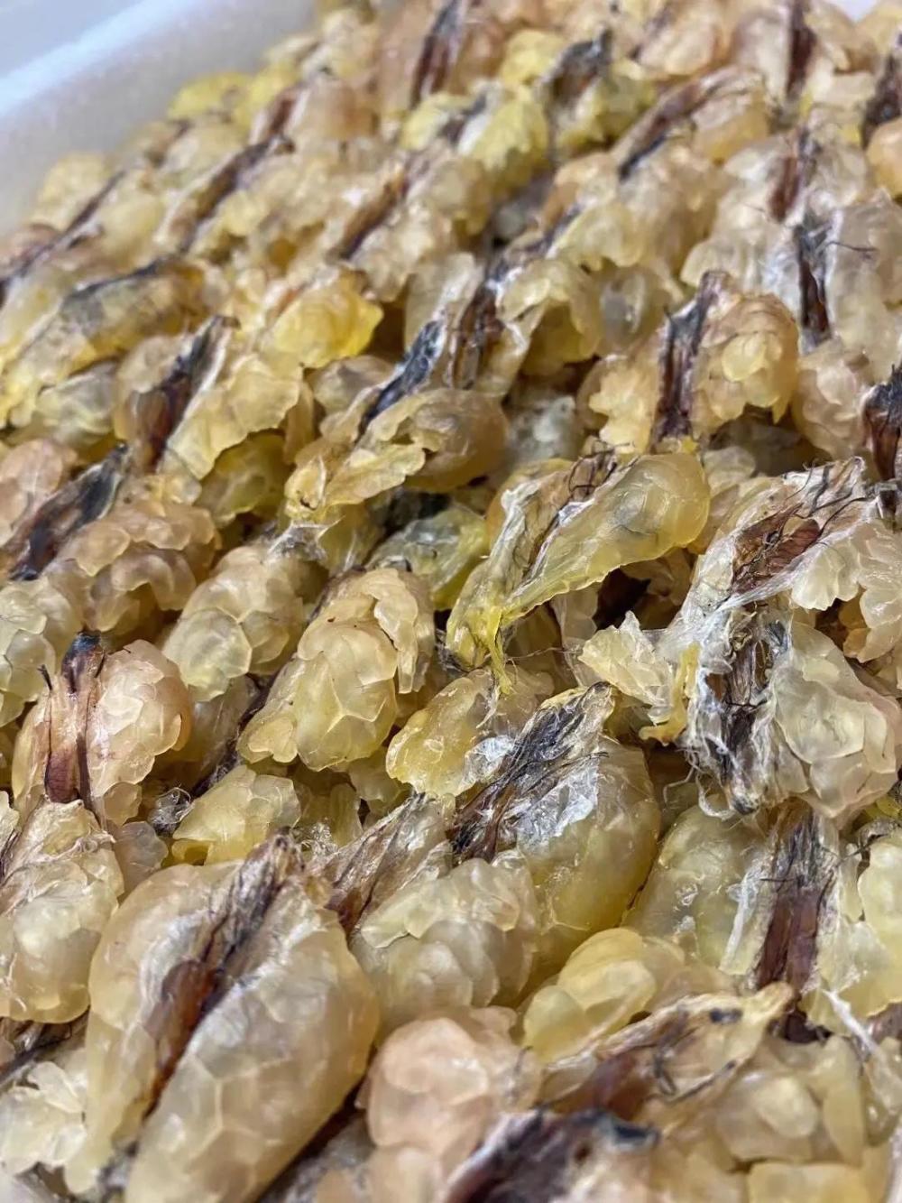 它是东北的四大山珍之一,带你了解东北林蛙_腾讯新闻