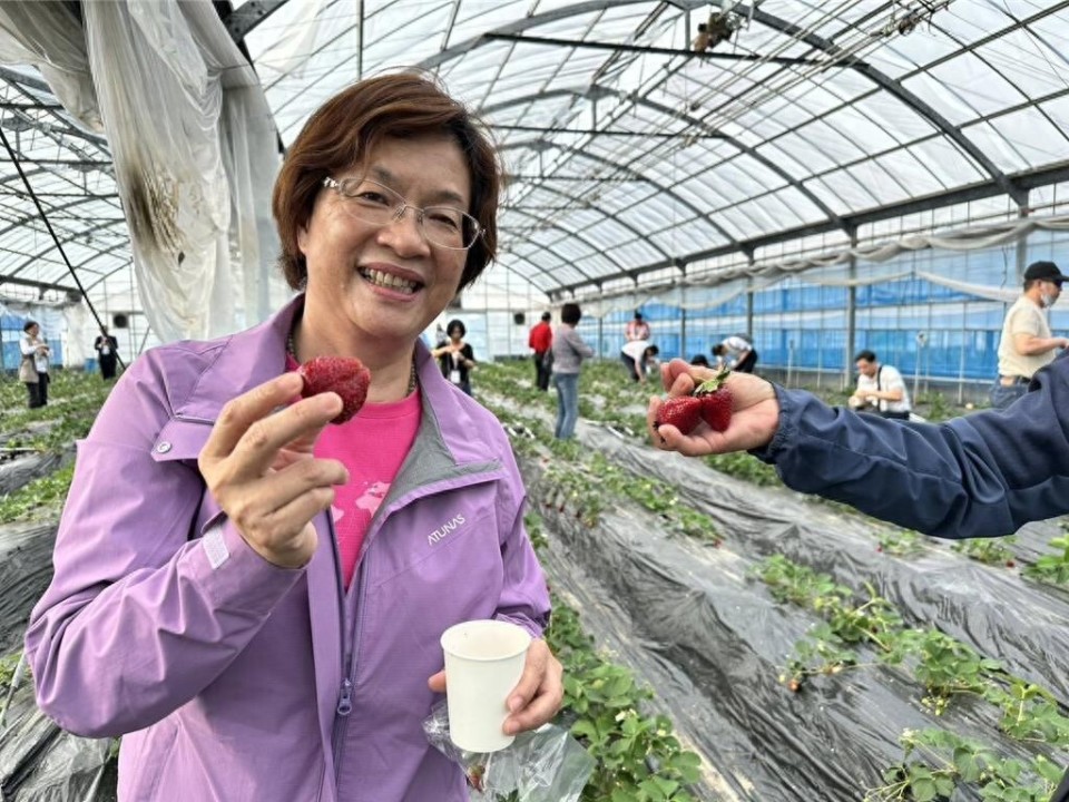 国民党彰化县长人选卡关，现任县长王惠美迟未表态成关键_腾讯新闻