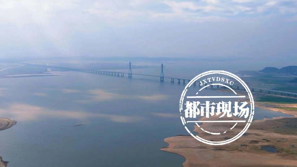鄱阳湖迎来越冬候鸟迁徙高峰 数量近60余万只_腾讯新闻