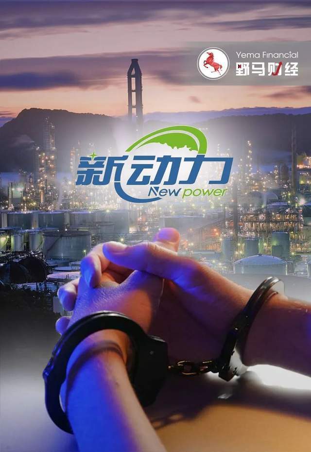 "80后"美女富豪被刑拘,曾6000万撬动54亿上市公司