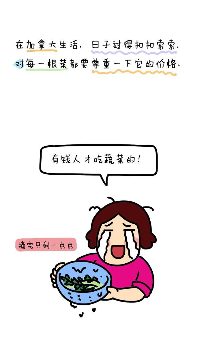 这要是在国内，我早一把丢了！_腾讯新闻