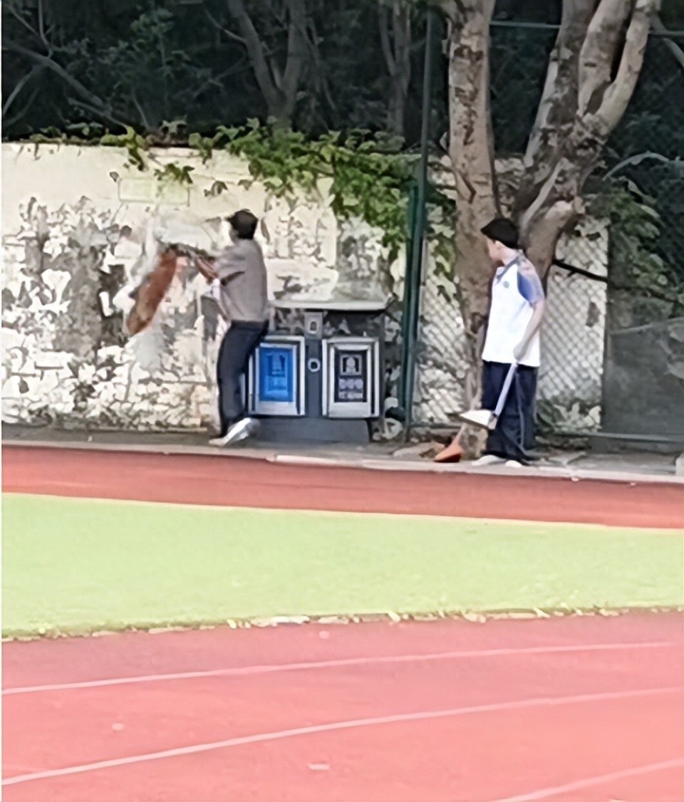 职中保安被指当学生面，从3米高墙扔出流浪狗；福清教育局：将核实情况_腾讯新闻