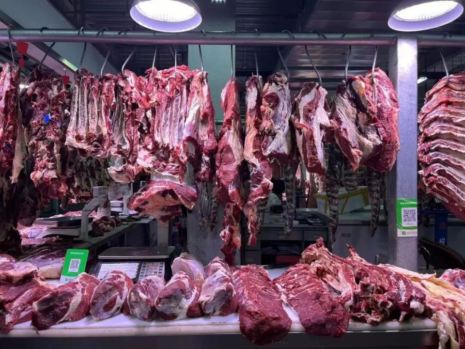 而在整个2023年,全国牛肉批发价也在一路下滑.1月时77.