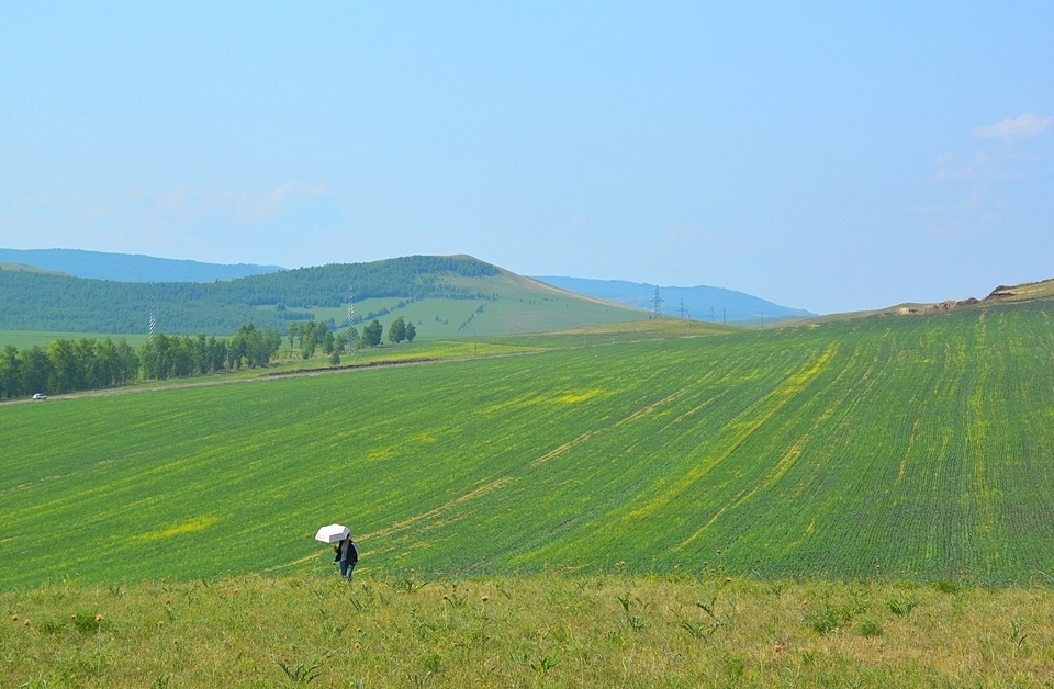 呼伦贝尔大草原之美