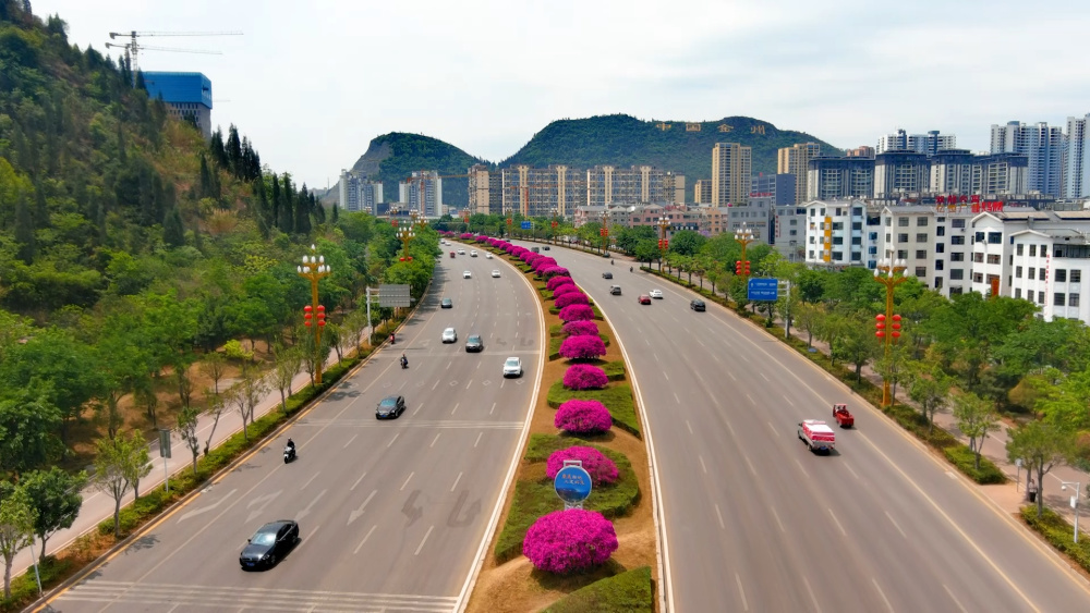 一路繁花一路景 文明兴义春意浓_腾讯新闻