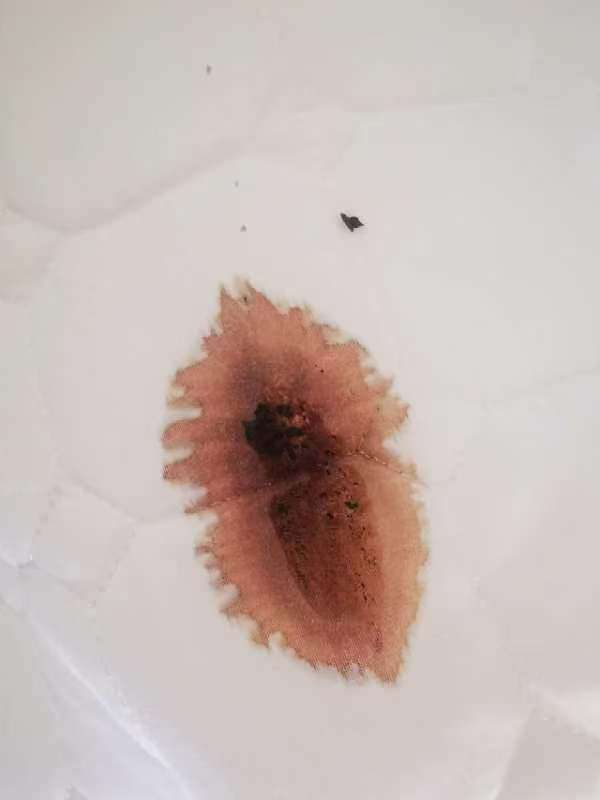 晒出去的白被子遭了殃,杭州女子头疼:是鸟屎还是高空抛物?