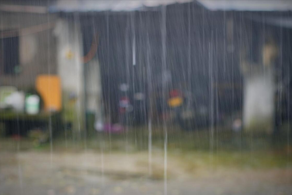 林过雨是那部惊悚图片图片