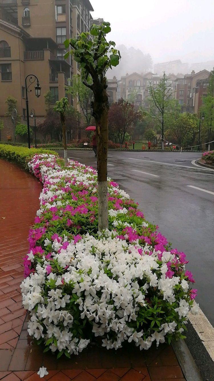 黑山谷景区旺季门票100元,淡季门票60元,景区索道30元,黑山谷是重庆最