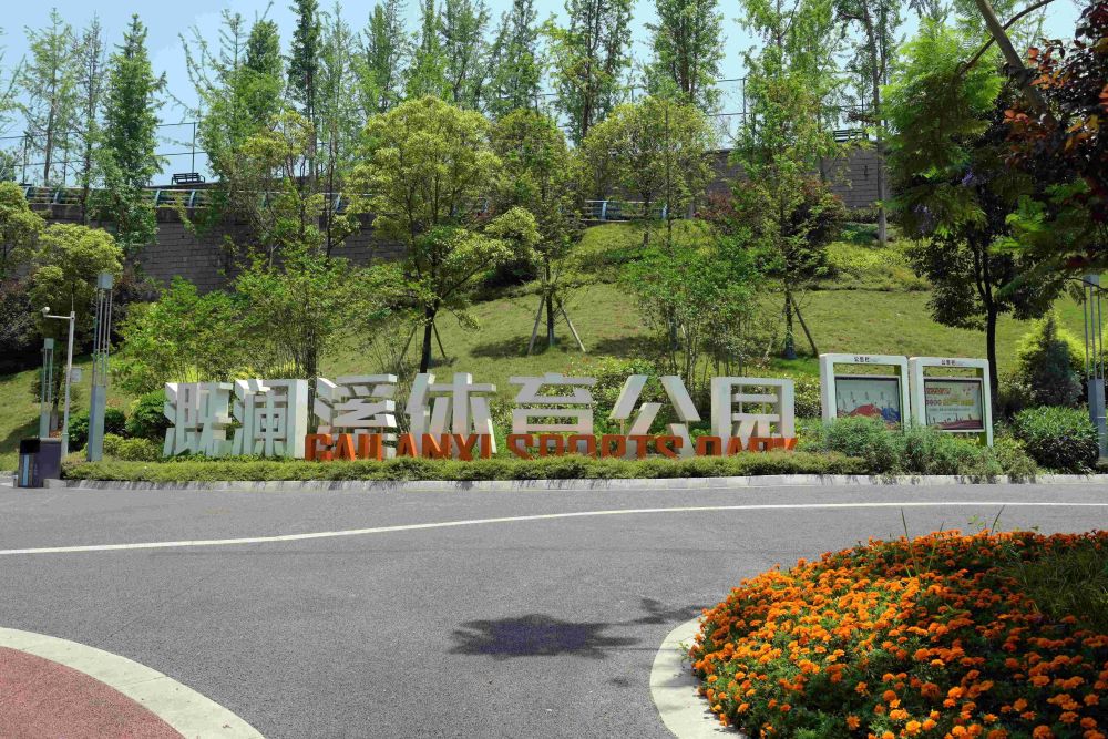重庆市溉澜溪体育公园格桑花盛开