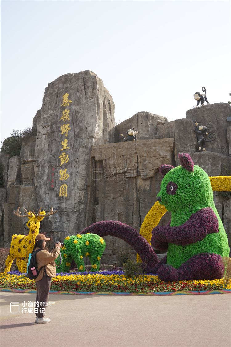 多少年没去过西安秦岭野生动物园了,年前朋友送了我一张秦岭旅游年卡