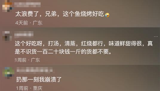 贵州男子钓到“怪鱼”，很嫌弃直接丢，网友：扔那一刻我崩溃了！_腾讯新闻