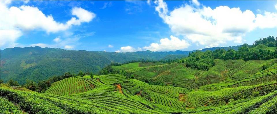 新味道新体验新链条新探索四川宜宾叙州区推介特色旅游线路并发出邀请