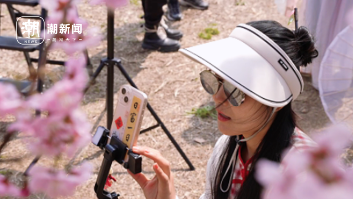 杭州樱花树下网红扎堆,女主播回乡开启村播_腾讯新闻