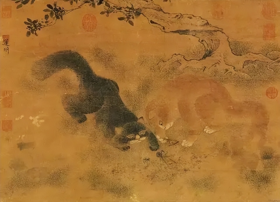 青海地区的"猫鬼神",到底是什么神,为何被不少家庭世代供奉