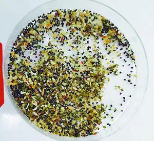 鸟食有毒活性罂粟籽被查获