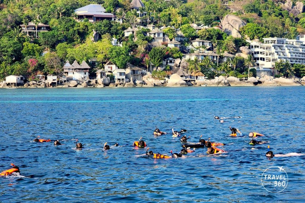 泰国苏梅-帕岸-龟岛旅游持续火热!