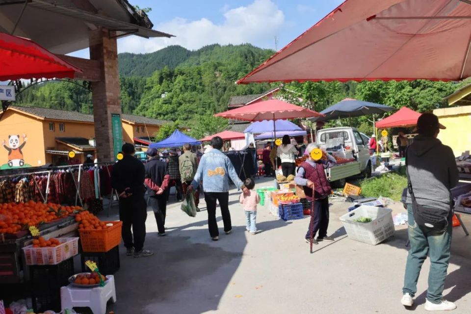 重庆市合川区清平镇图片