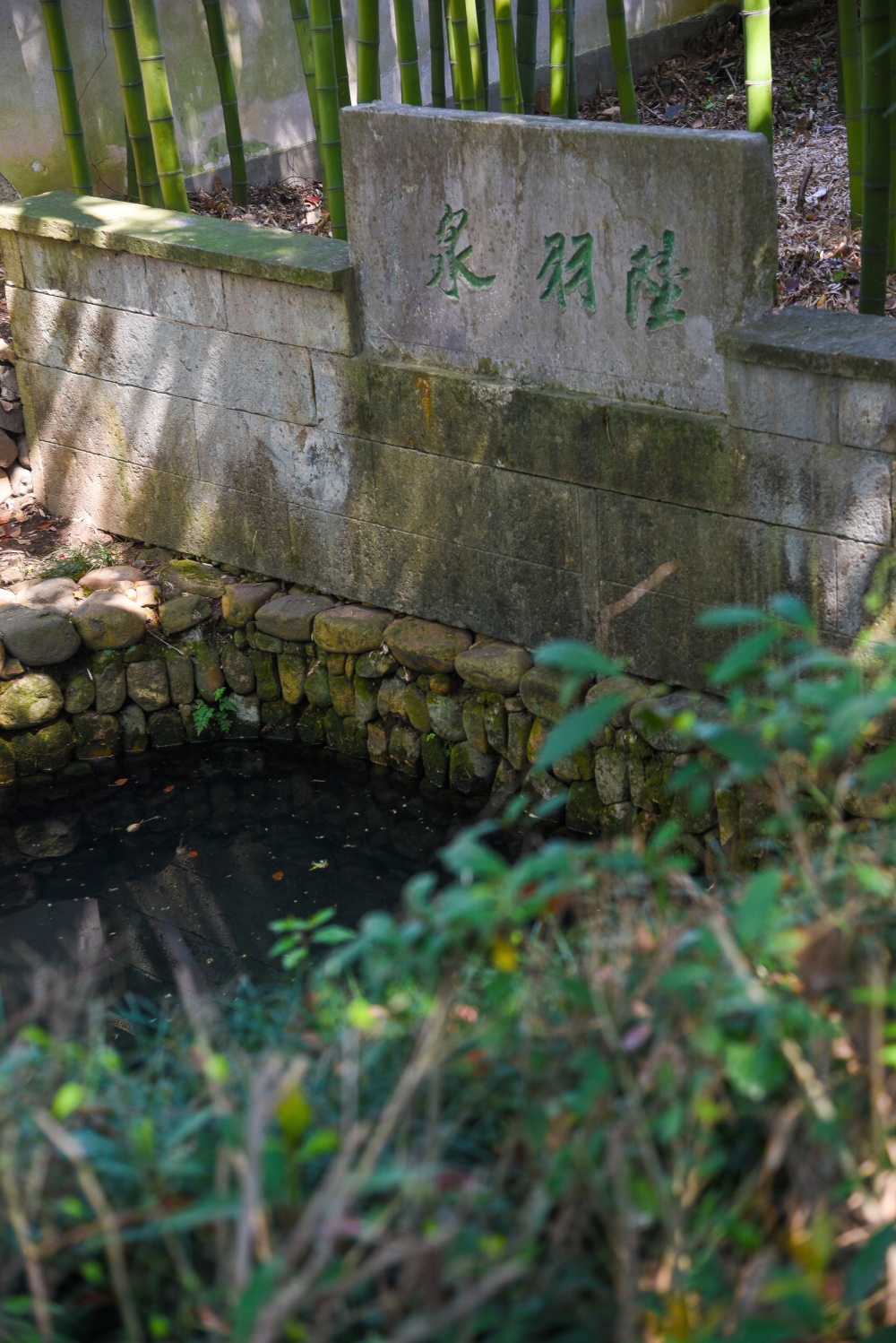 走近陆羽泉之后,可以发现这是一个一大一小两口井组成的"子母泉",大井