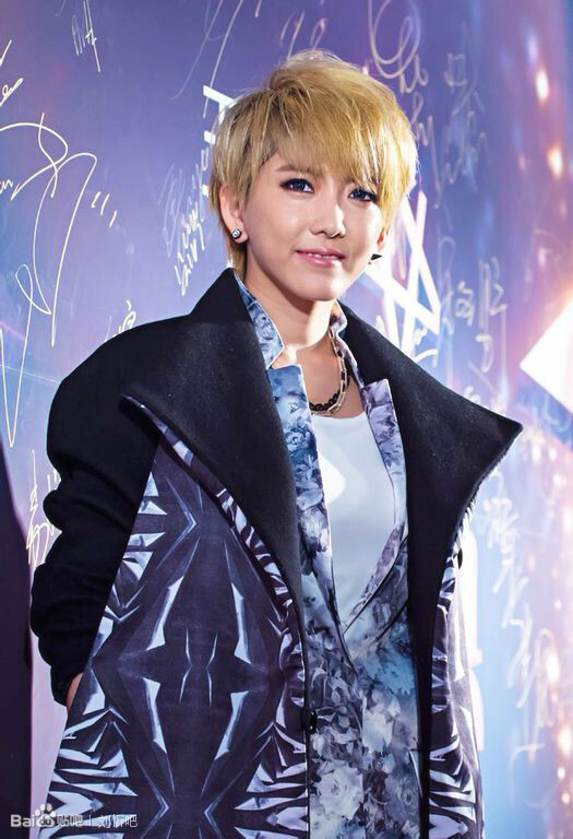 "顶流快女"刘忻:曾被陈晓力挺,缘何巅峰即陨落?选择大于努力_腾讯新闻