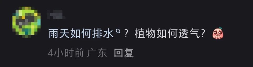 广州一人行道树池泥土表面被水泥封死，网友：“封这么死，植物怎么活？”街道办事处：具体原因正在核查_腾讯新闻