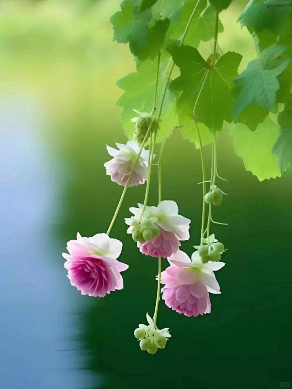 5首具有哲理的元曲:大境界,大情怀!值得世人品读