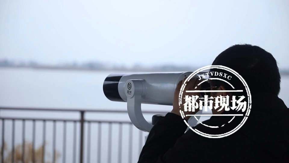 鄱阳湖迎来越冬候鸟迁徙高峰 数量近60余万只_腾讯新闻