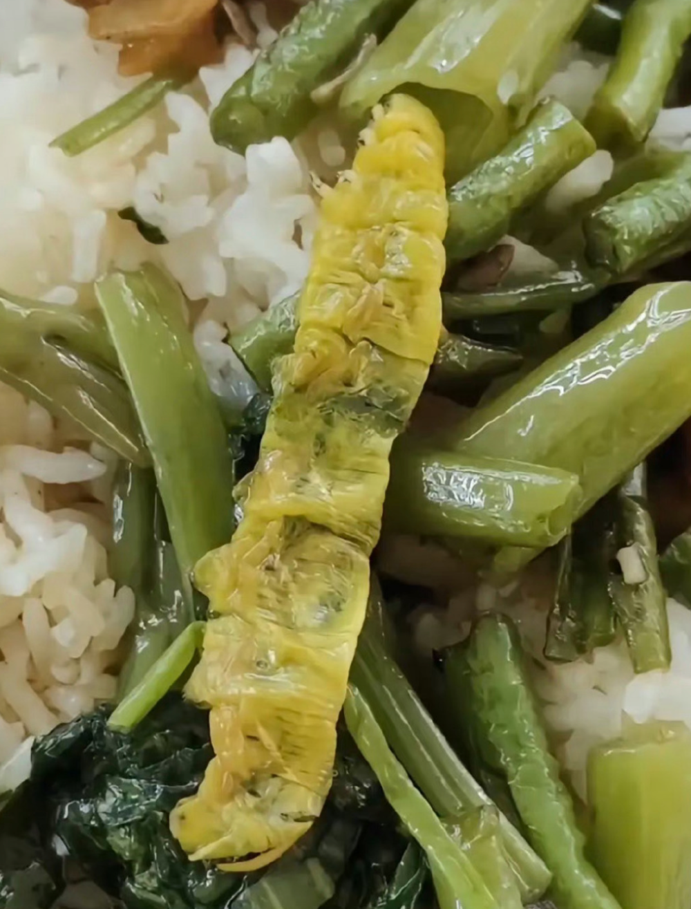 鼠头鸭脖之后,高校食堂又现大青虫,网友调侃:是冬虫夏草!-腾讯新闻