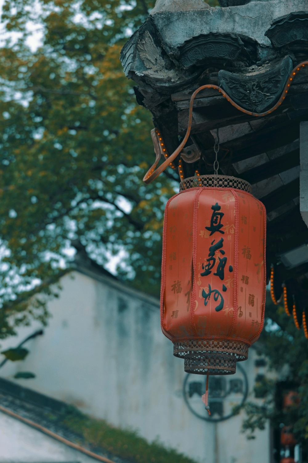 夏日游苏州平江路_腾讯新闻