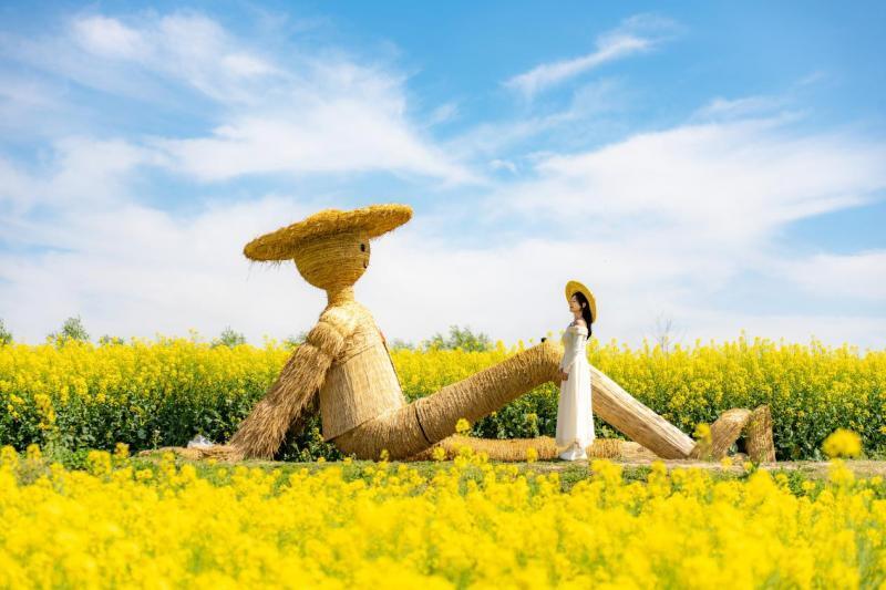 清明踏青下江南 在乌镇感受"好好生活"