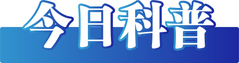 今日辟谣（2024年12月9日）