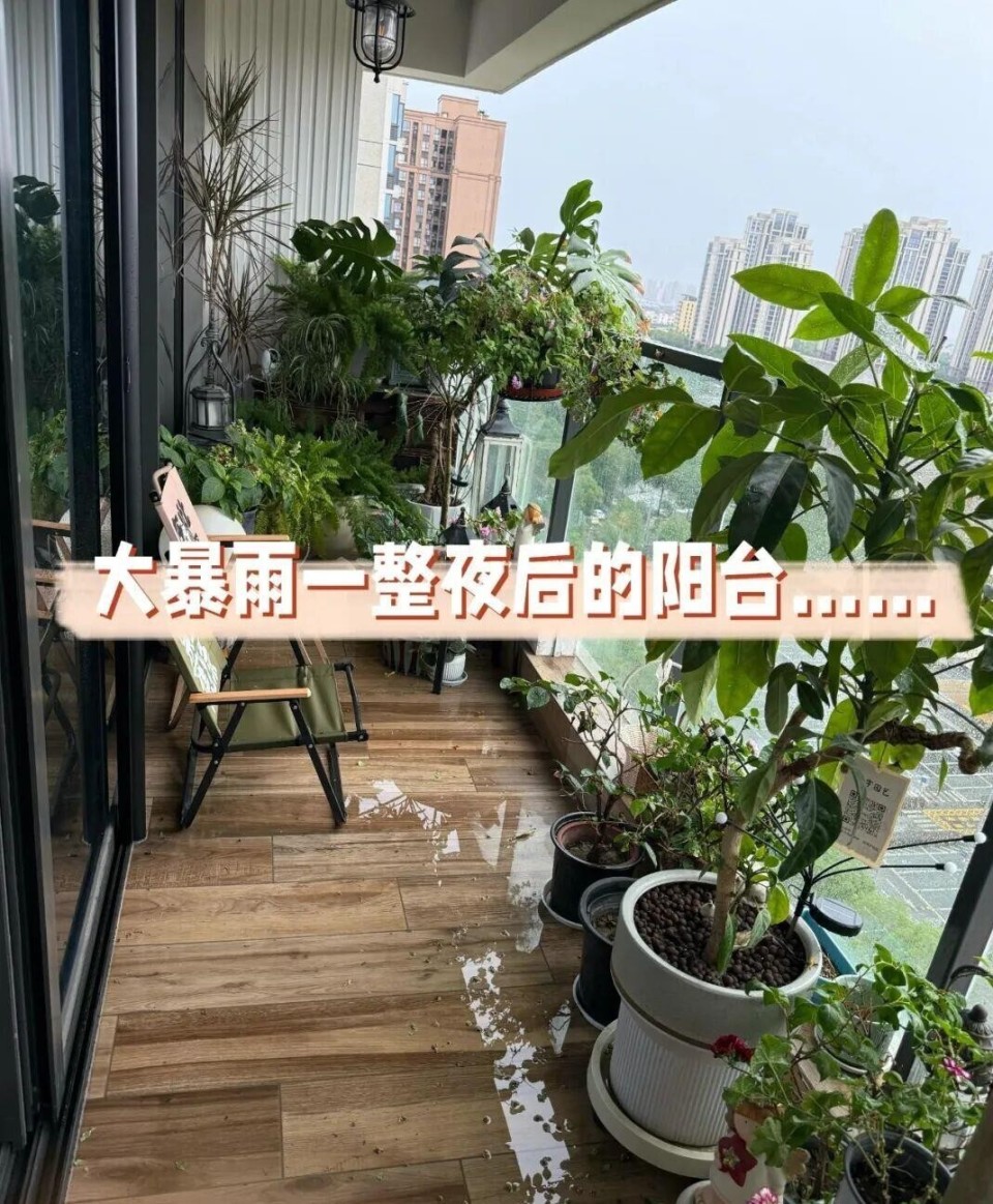 不听劝，我坚持开放式阳台，现在入住两年，发现不封阳台太爽了！_腾讯新闻