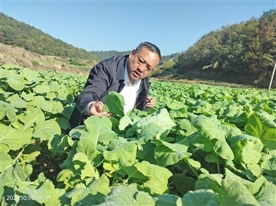一顶旧草帽一个黑色大挎包8大本日记多年来他奔走在