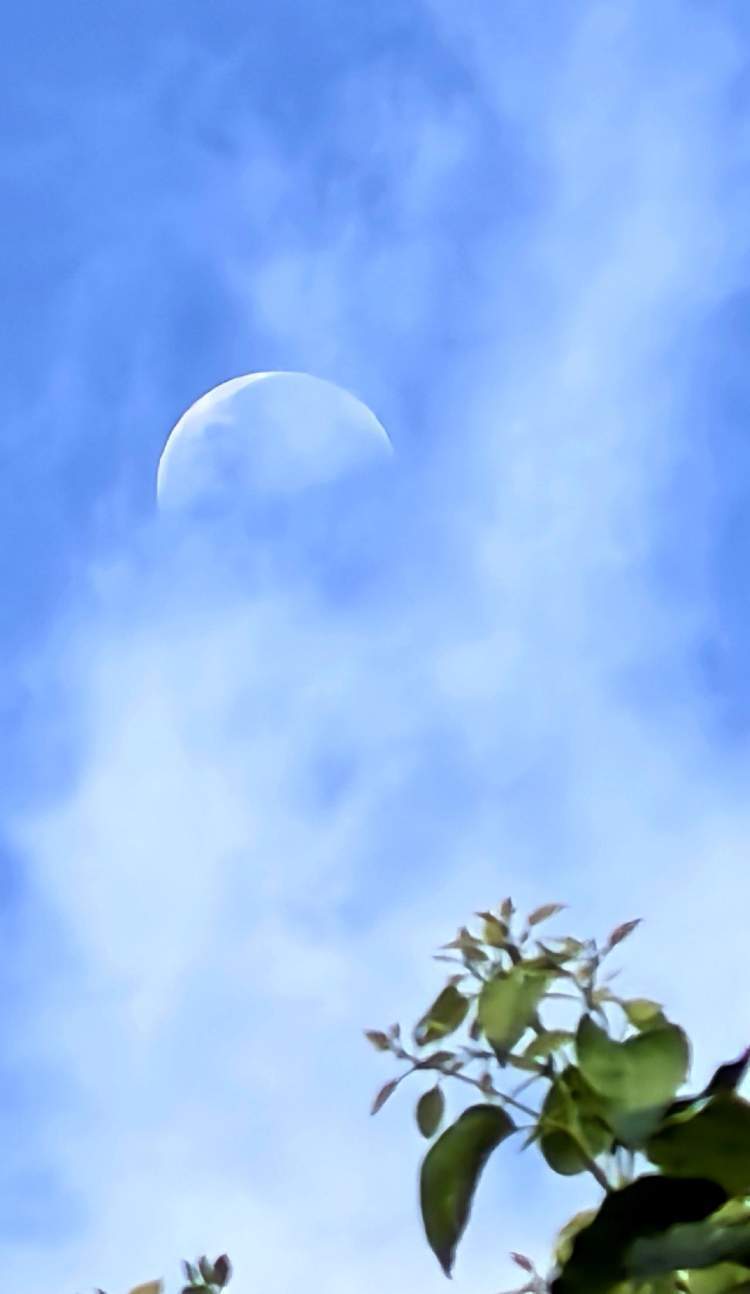 太阳和月亮共存的图片图片